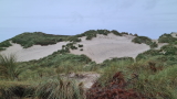 duen-Strand (4)